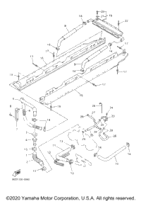 Radiator Hose