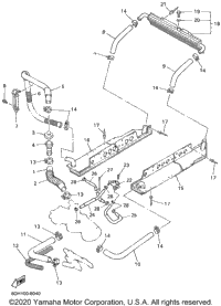 Radiator Hose