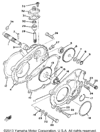 Pump Drive Gear