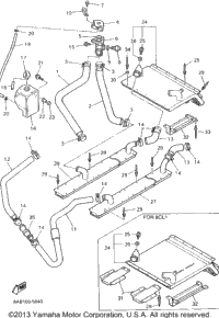 Radiator Hose