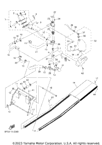 Radiator & Hose
