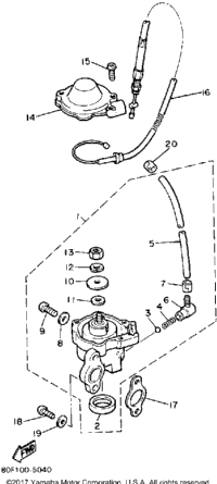 Oil Pump