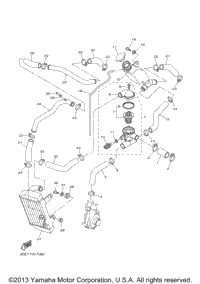Radiator Hose