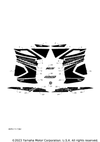 Graphic & Emblem