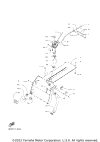 Radiator & Hose