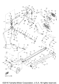 Radiator Hose
