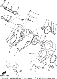 Pump Drive - Gear