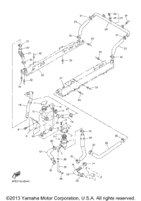 Radiator Hose