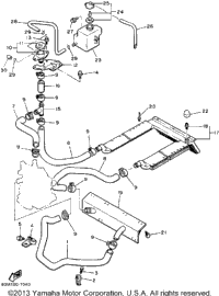 Radiator-Hose