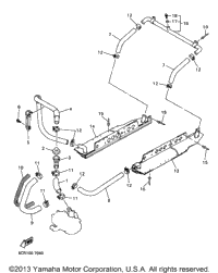 Radiator Hose