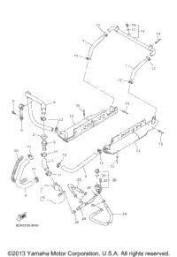 Radiator Hose