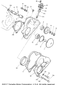 Pump Drive Gear