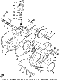 Pump Drive Gear