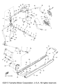 Radiator Hose