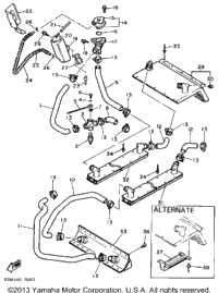 Radiator - Hose
