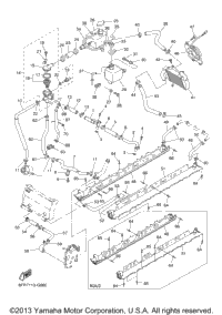 Radiator Hose