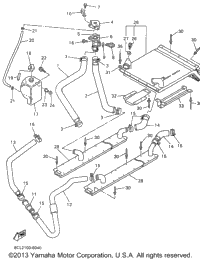 Radiator - Hose