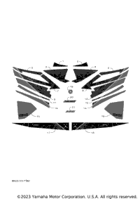Graphic & Emblem