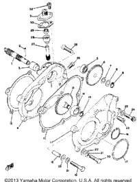 Pump Drive-Gear