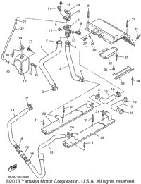 Radiator - Hose