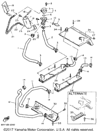 Radiator Hose