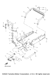 Radiator - Hose