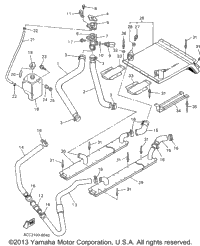 Radiator Hose