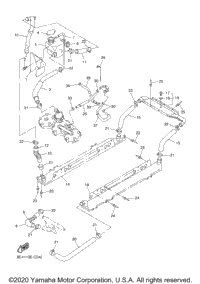 Radiator Hose