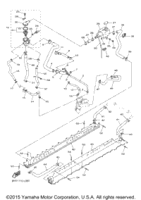 Radiator Hose