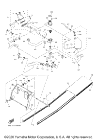 Radiator & Hose