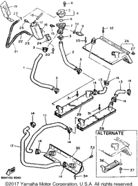 Radiator Hose