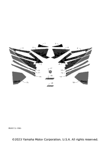 Graphic & Emblem