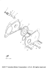 Pump Drive Gear