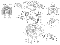 Cylinder Head And Camshaft/Valve Assembly