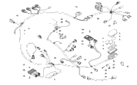 Wiring Harness Assembly
