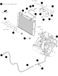 Coolant Hose