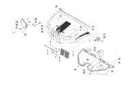 Hood And Headlight Assembly