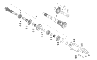 Secondary Transmission Assembly