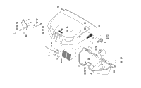 Hood And Headlight Assembly