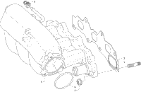 Intake Manifold Assembly