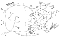 Wiring Harness Assembly