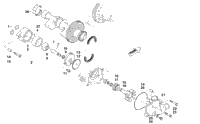 Oil Pump And Water Pump Assemblies