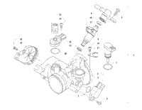 Throttle Body Assembly