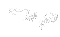 Rear Brake Assembly