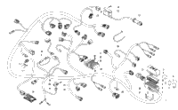Wiring Harness Assembly