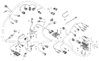 Wiring Harness Assembly