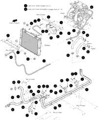 Coolant Hose