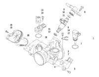 Throttle Body Assembly