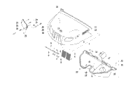 Hood And Headlight Assembly