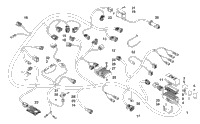 Wiring Harness Assembly
